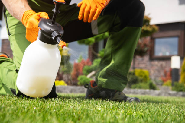 Best Best Pest Control Companies  in West Haven Sylvan, OR
