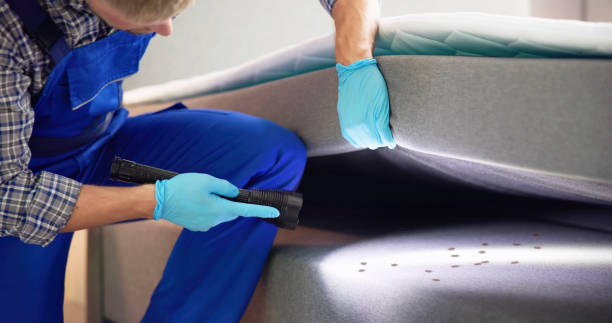 Best Rat Extermination Near Me  in West Haven Sylvan, OR