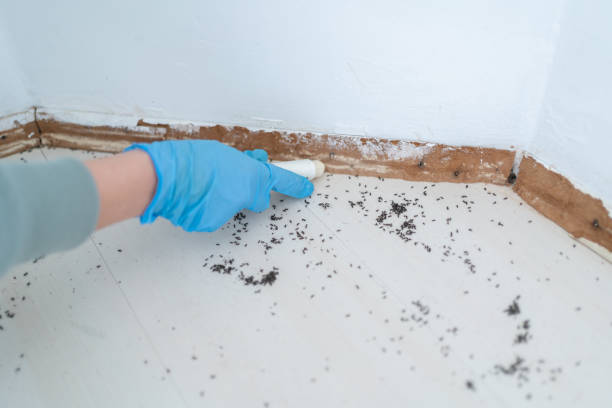 Best Best Pest Control Companies  in West Haven Sylvan, OR